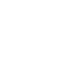 Adult — life stage icon
