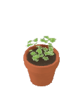 Abi — Plant Parsley — Build Mode catalog icon