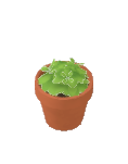 Abi — Plant Basil — Build Mode catalog icon